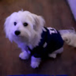 Meet your Posher, Sabrey